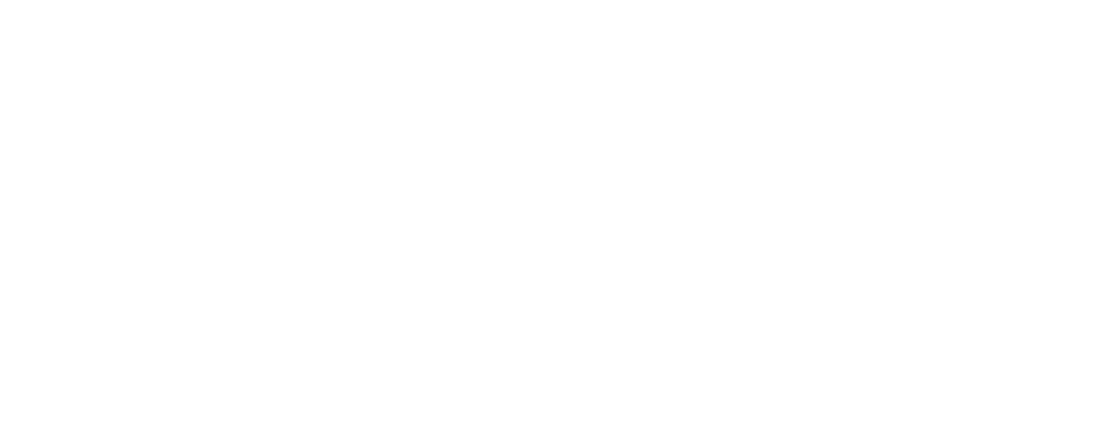 ani-ve-ata logo